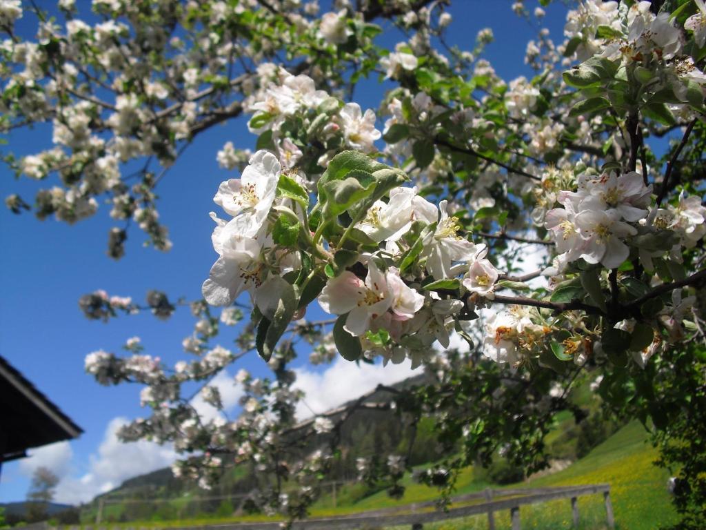 Appartamento Obergarberhof Sillian Esterno foto